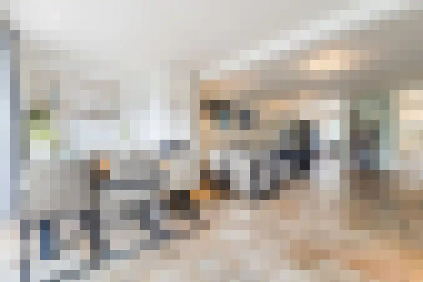 Gravendaal 30 Deest thumbnail 15