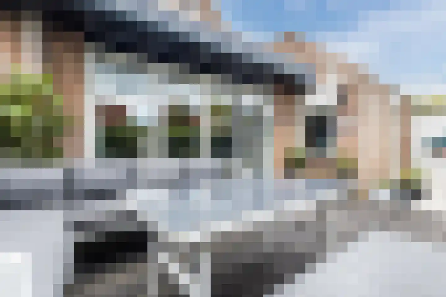 Gravendaal 30 Deest thumbnail 41