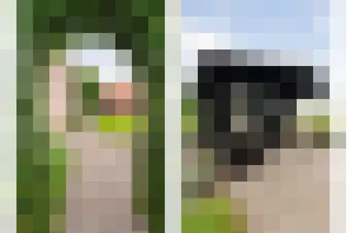 Gravendijk 22 Harbrinkhoek thumbnail 22