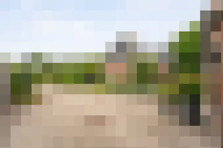 Gravendijk 22 Harbrinkhoek thumbnail 24