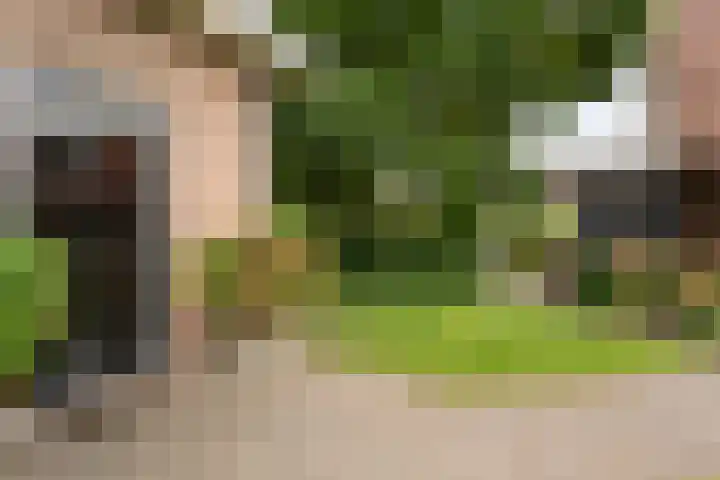 Gravendijk 22 Harbrinkhoek thumbnail 26