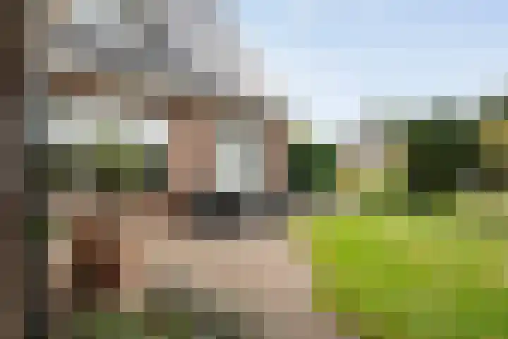 Gravendijk 22 Harbrinkhoek thumbnail 28