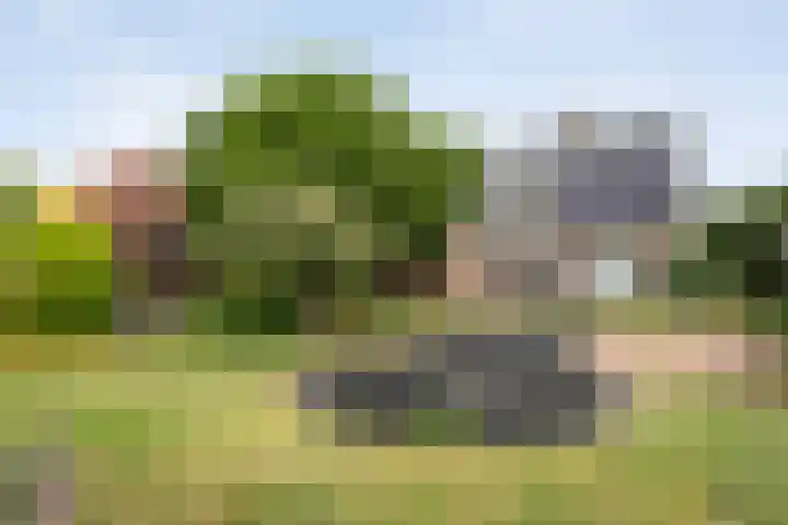 Gravendijk 22 Harbrinkhoek thumbnail 29