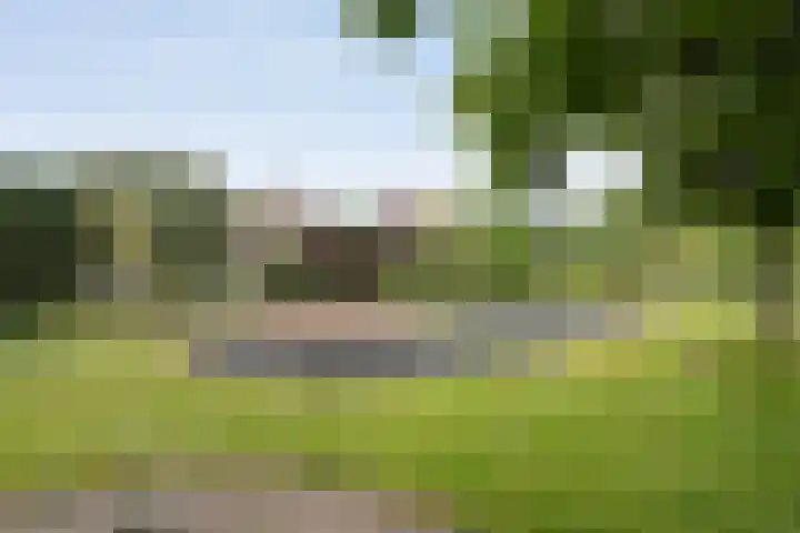 Gravendijk 22 Harbrinkhoek thumbnail 30