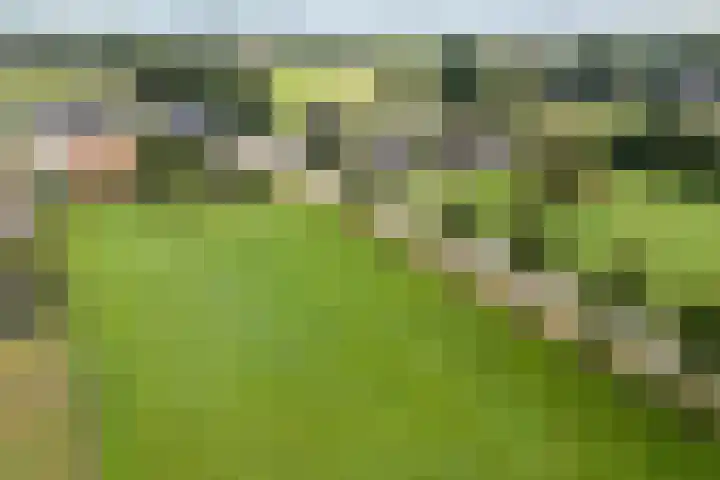 Gravendijk 22 Harbrinkhoek thumbnail 32