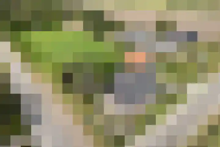 Gravendijk 22 Harbrinkhoek thumbnail 33