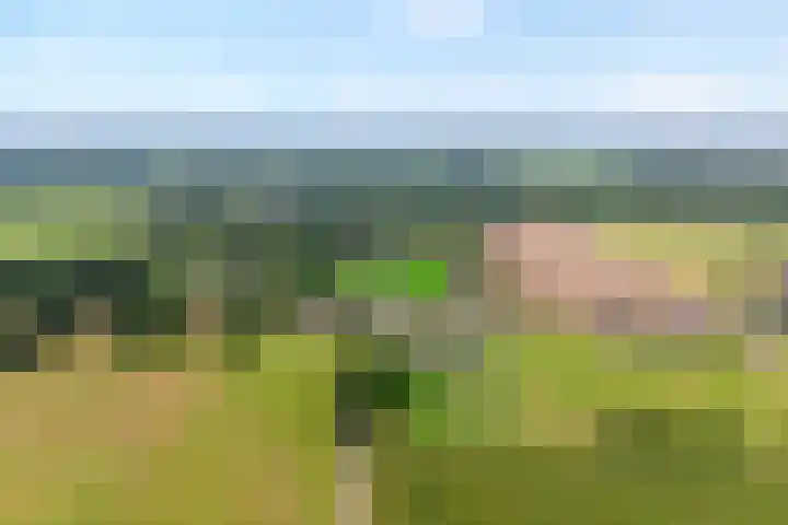 Gravendijk 22 Harbrinkhoek thumbnail 34