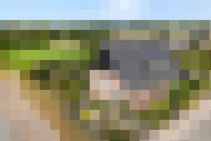 Gravendijk 22 Harbrinkhoek thumbnail 4