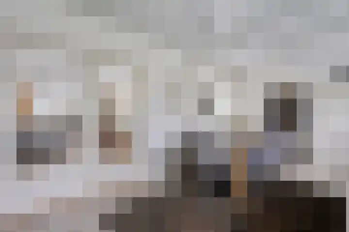 Gravendijk 22 Harbrinkhoek thumbnail 9