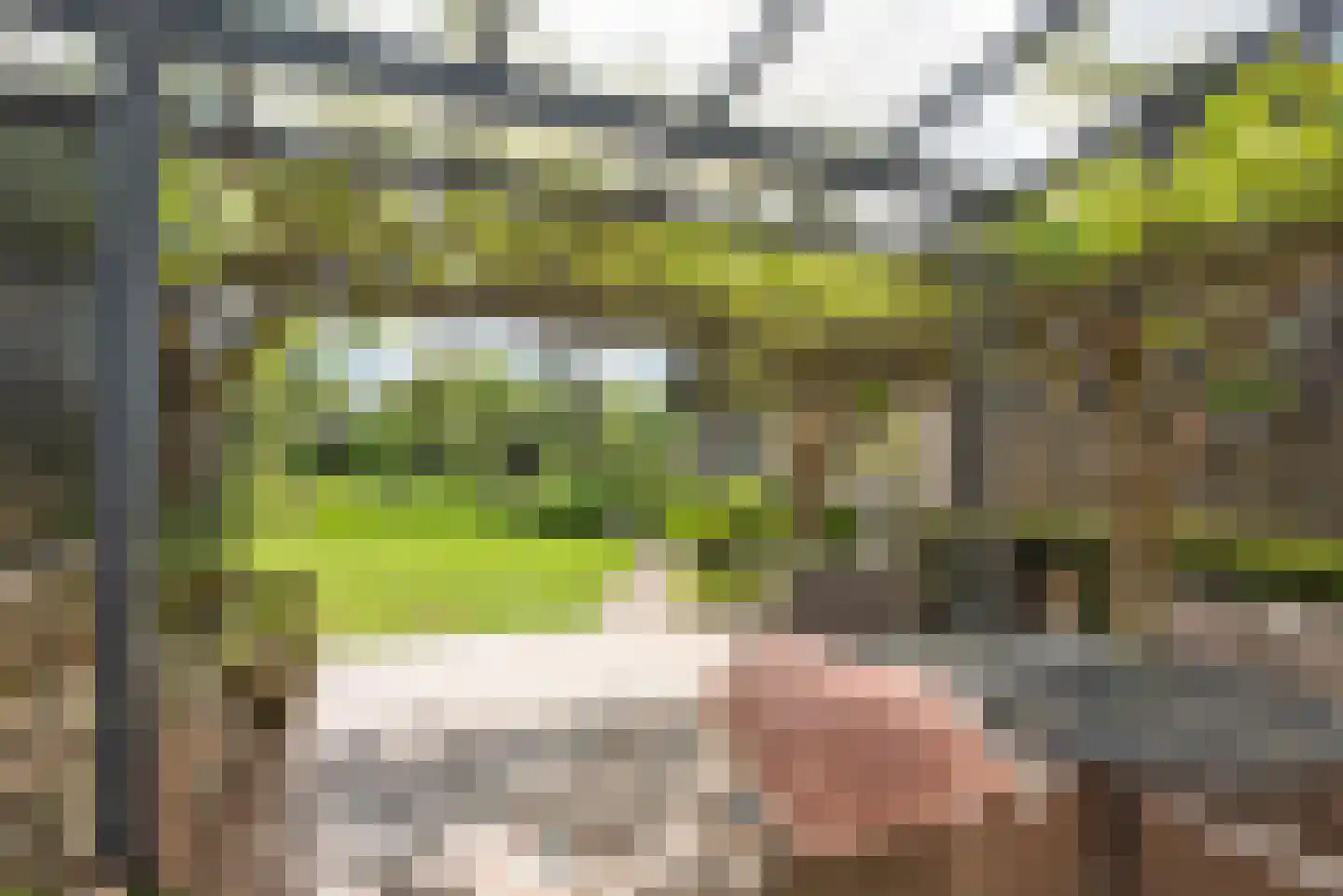 Gravendijk 23 Albergen thumbnail 21