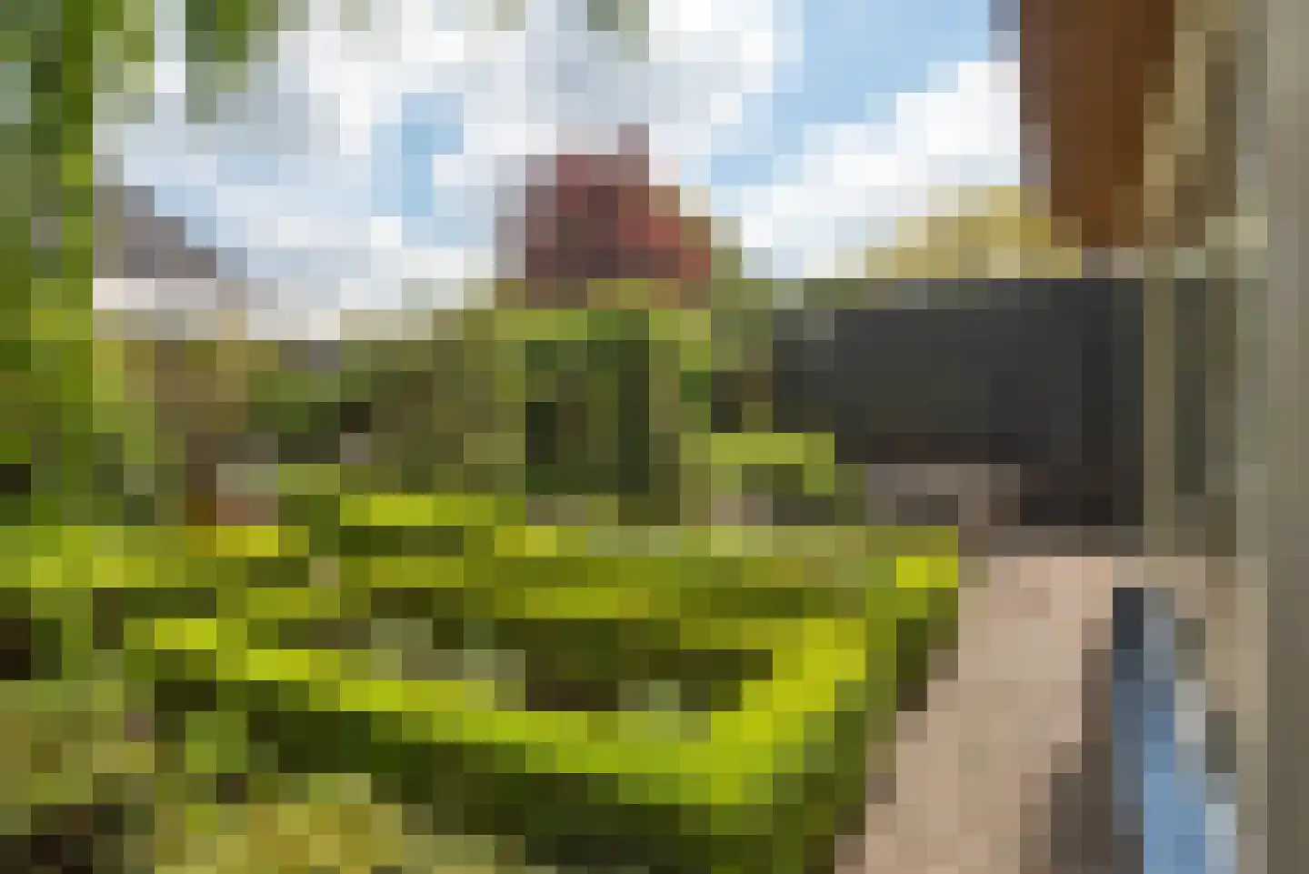 Gravendijk 23 Albergen thumbnail 24