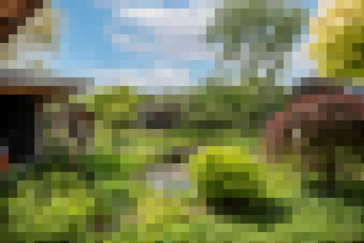 Gravendijk 23 Albergen thumbnail 43