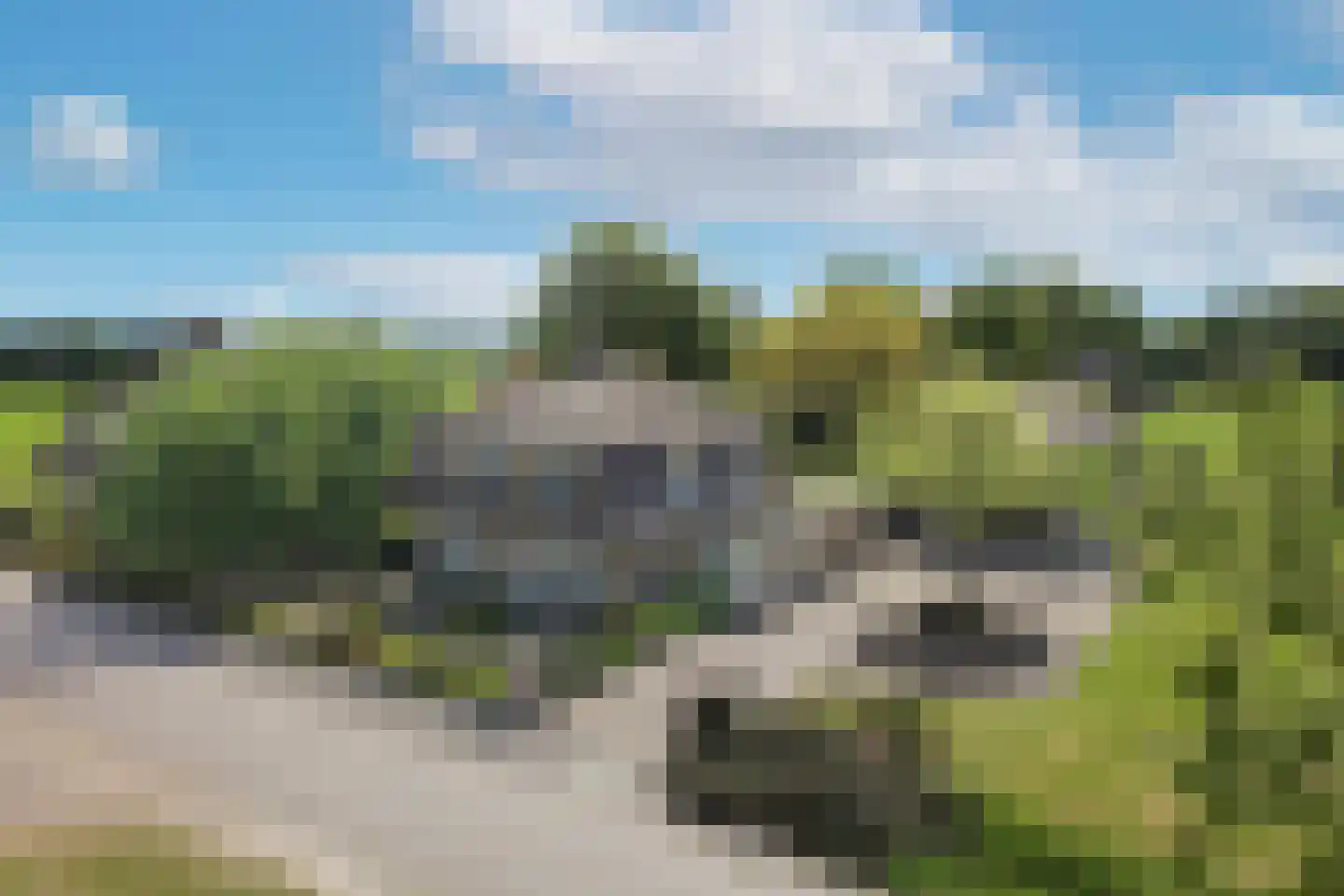 Gravendijk 23 Albergen thumbnail 5