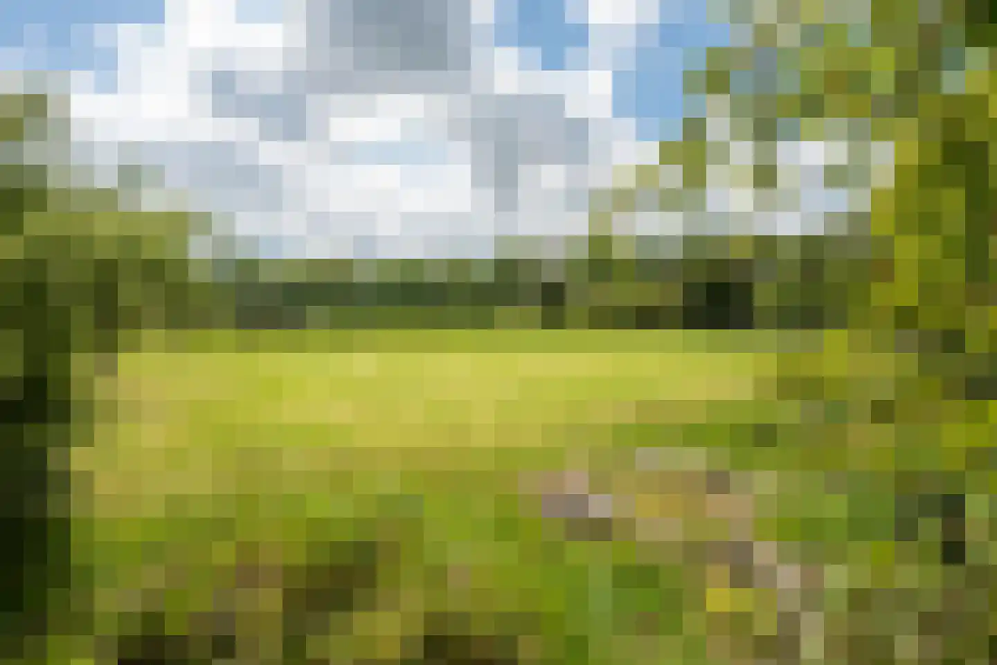 Gravendijk 23 Albergen thumbnail 59
