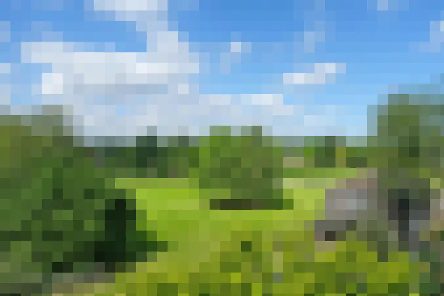 Gravendijk 23 Albergen thumbnail 61