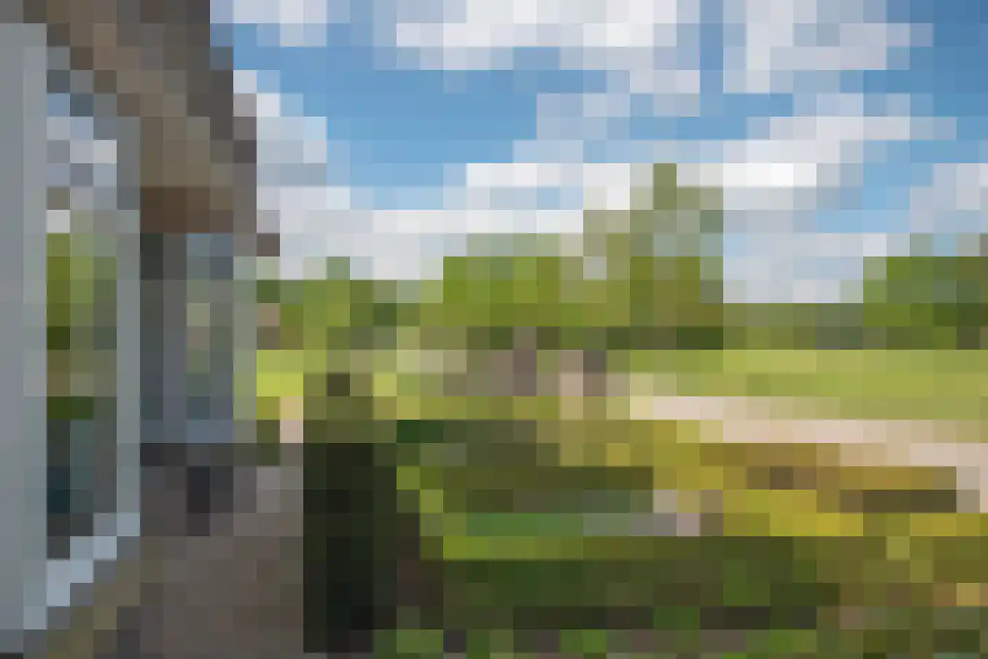 Gravendijk 23 Albergen thumbnail 70