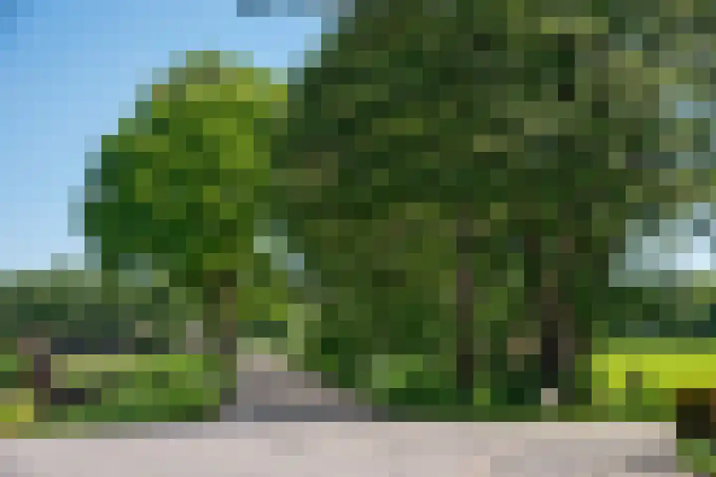 Gravendijk 23 Albergen thumbnail 73