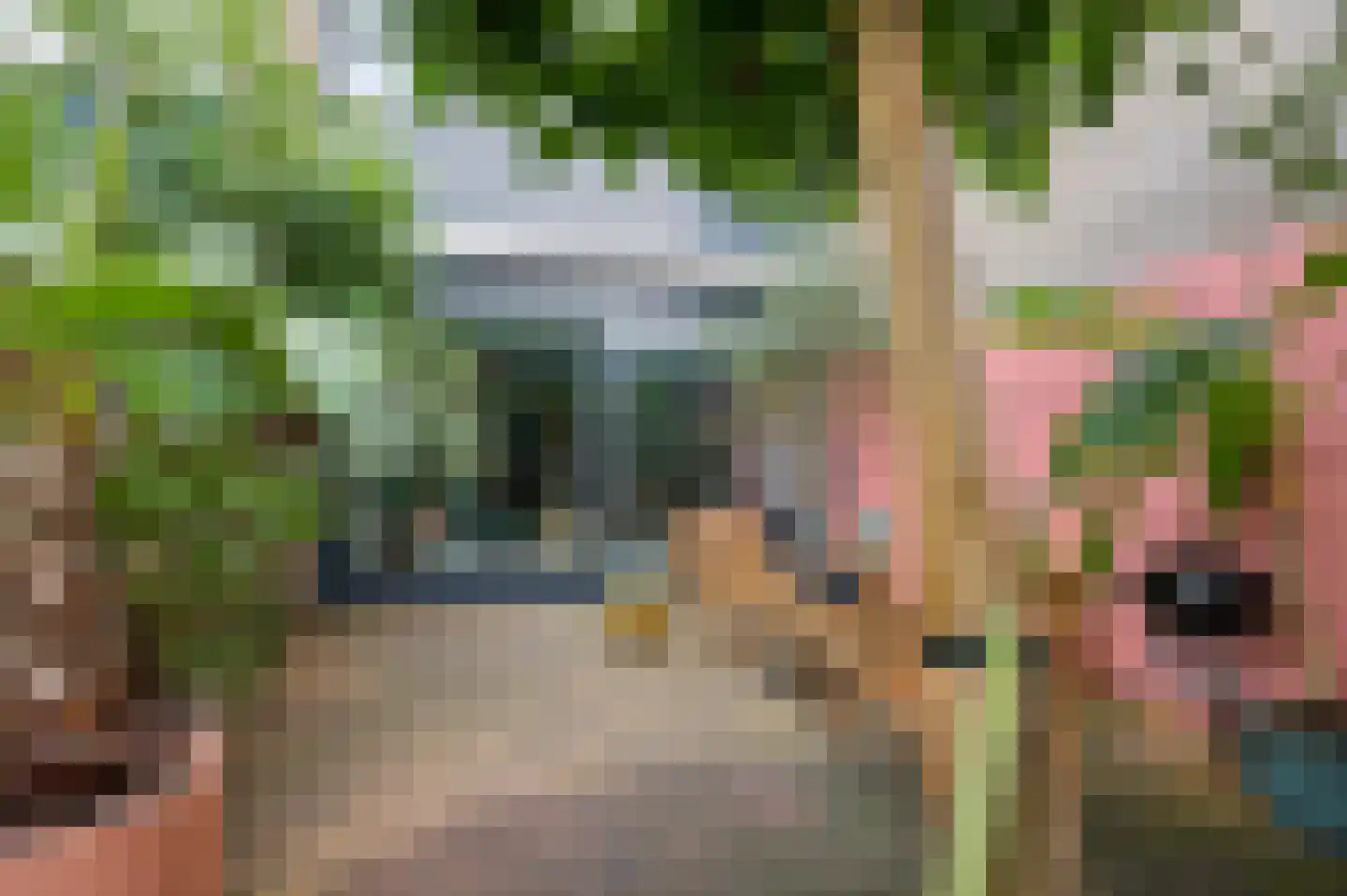 Gravenhof 11 Ede thumbnail 31