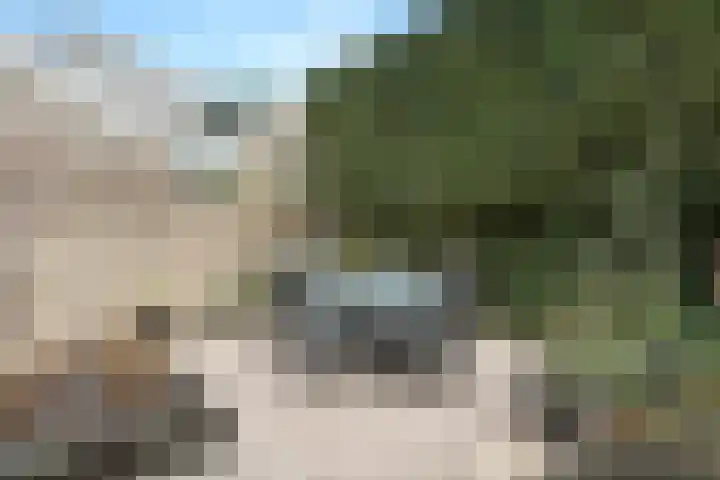 Gravenhof 22 Ede thumbnail 15
