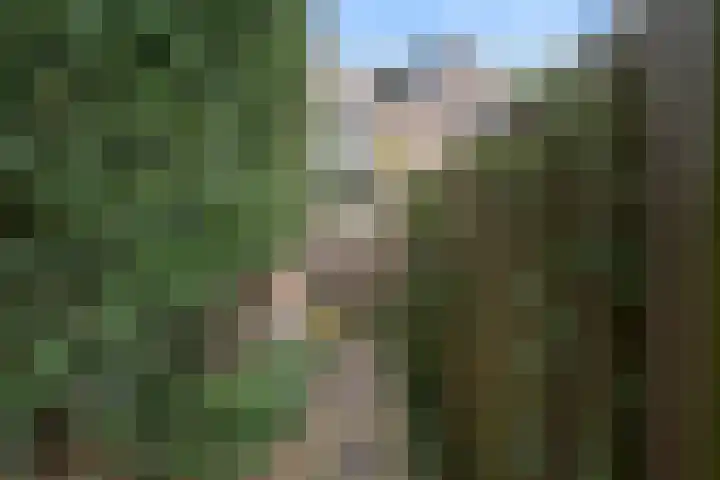 Gravenhof 22 Ede thumbnail 18