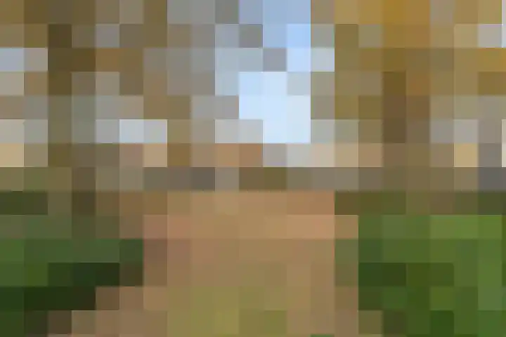 Gravenhof 22 Ede thumbnail 4