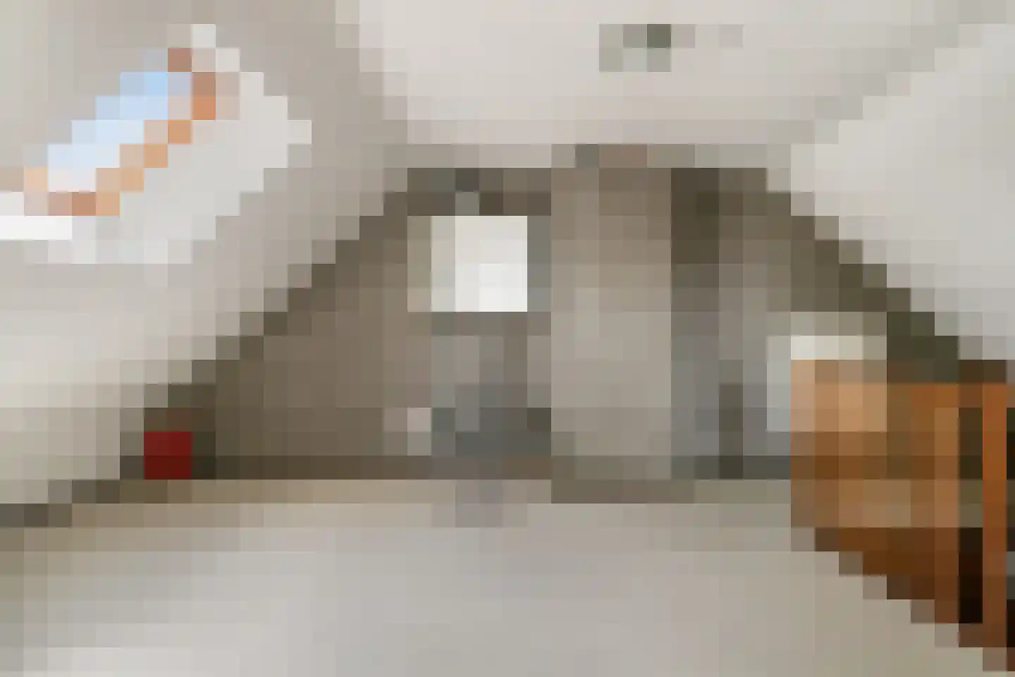 Gravenhof 3 Haps thumbnail 31