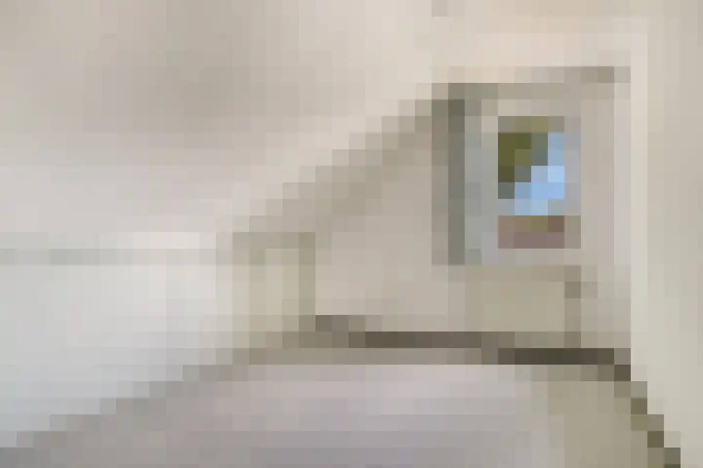 Gravenhof 3 Haps thumbnail 33