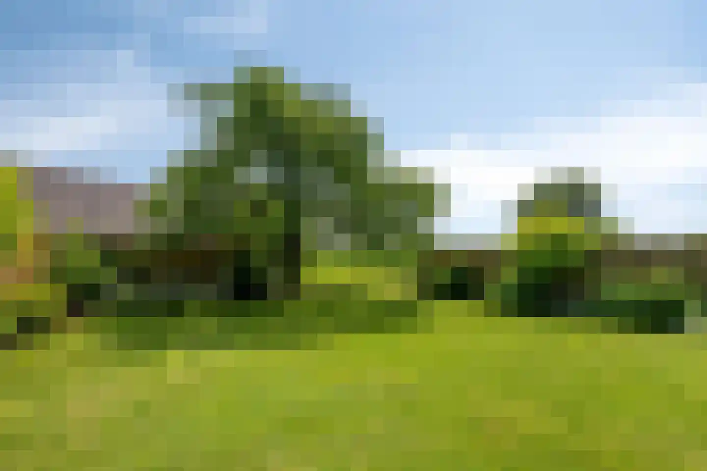 Gravenhof 3 Haps thumbnail 39