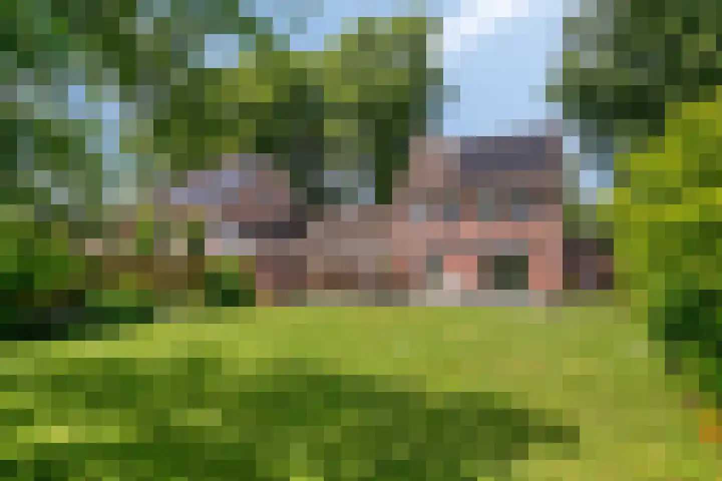 Gravenhof 3 Haps thumbnail 5