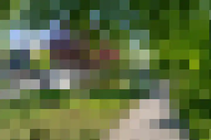 Gravenhof 4 Ede thumbnail 10