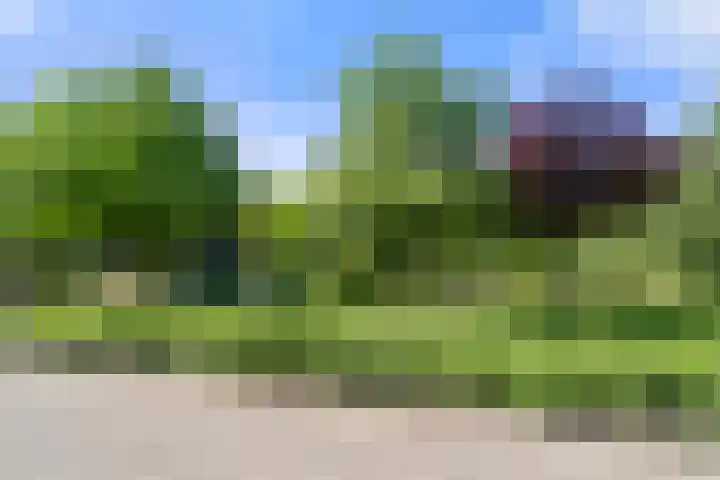 Gravenhof 4 Ede thumbnail 11