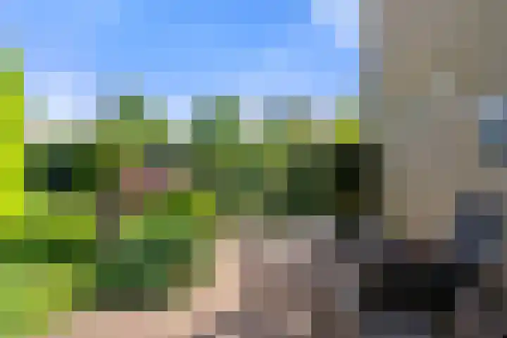 Gravenhof 4 Ede thumbnail 13