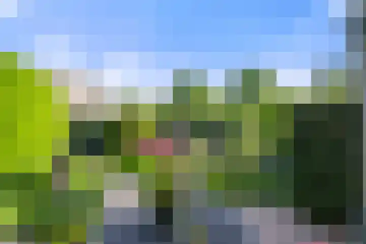 Gravenhof 4 Ede thumbnail 14