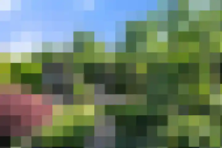 Gravenhof 4 Ede thumbnail 15