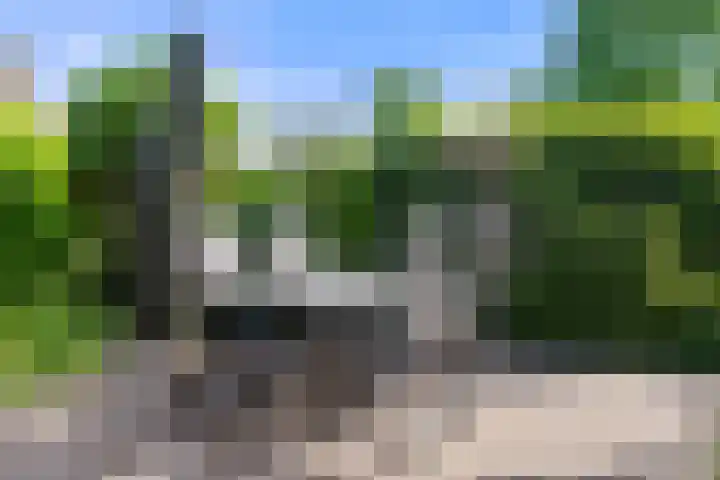 Gravenhof 4 Ede thumbnail 16