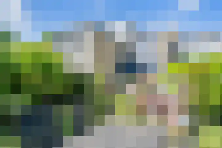 Gravenhof 4 Ede thumbnail 17