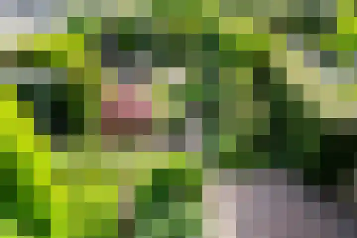 Gravenhof 4 Ede thumbnail 41