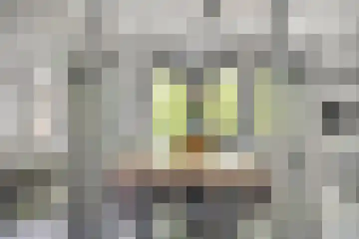 Gravenhof 9 Riel thumbnail 11