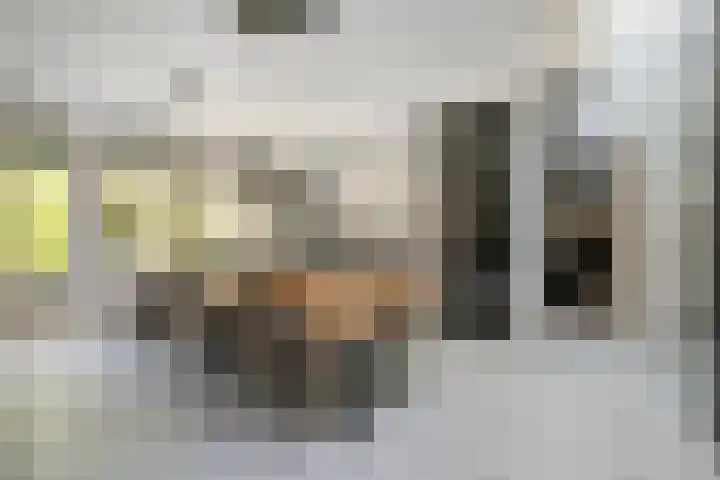 Gravenhof 9 Riel thumbnail 12