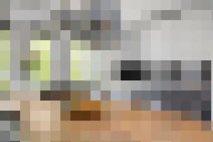 Gravenhof 9 Riel thumbnail 13