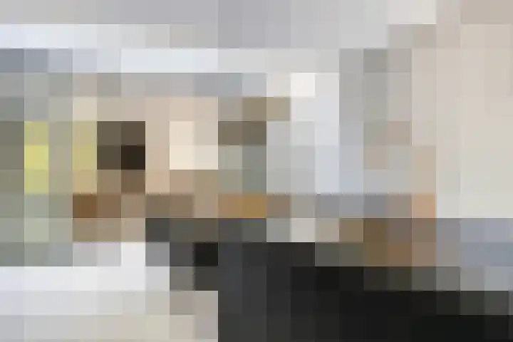 Gravenhof 9 Riel foto 2