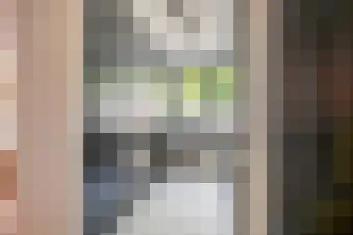 Gravenhof 9 Riel thumbnail 24