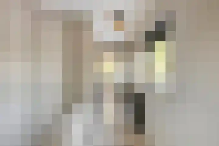 Gravenhof 9 Riel thumbnail 34