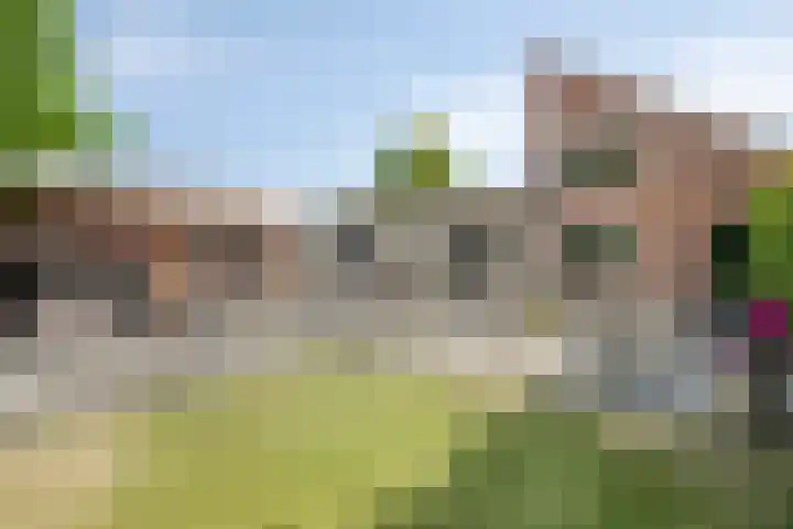 Gravenhof 9 Riel thumbnail 38