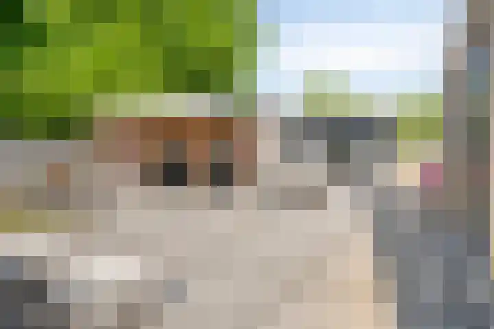 Gravenhof 9 Riel thumbnail 39