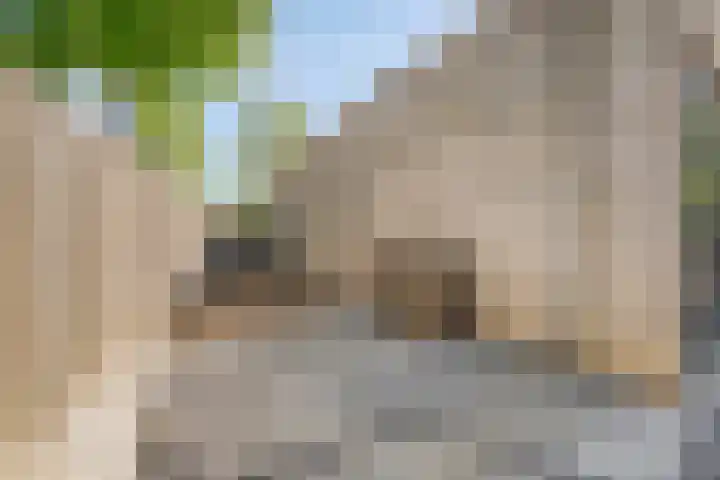 Gravenhof 9 Riel thumbnail 46