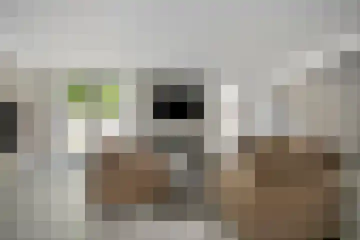 Gravenhof 9 Riel thumbnail 5