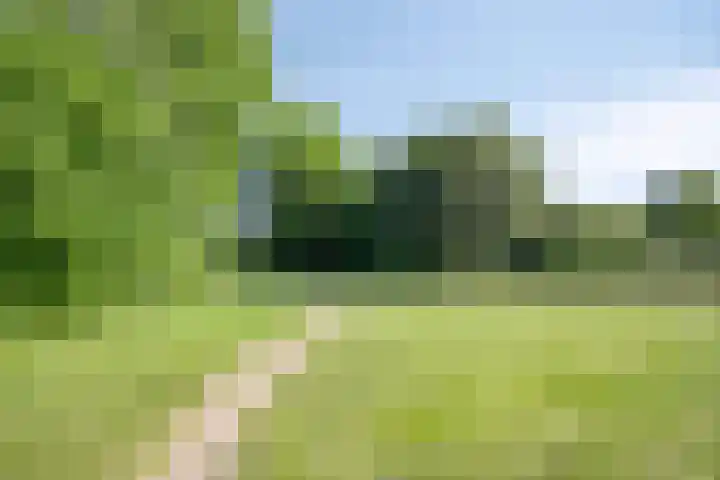 Gravenhof 9 Riel thumbnail 55