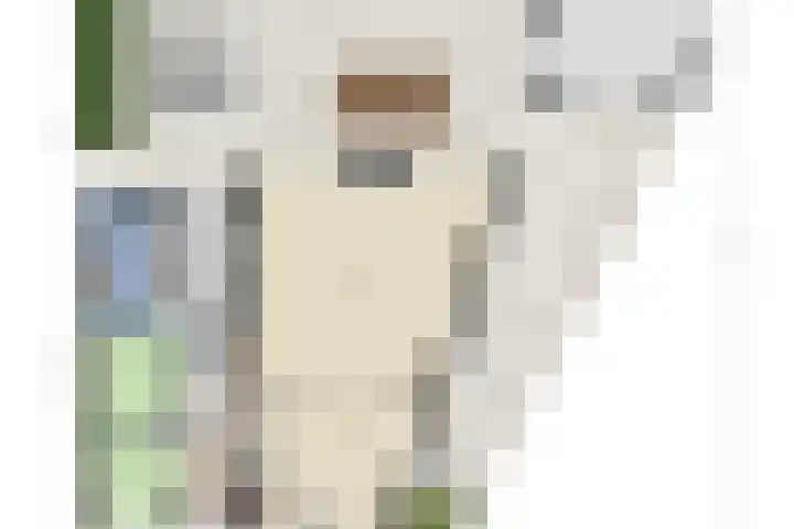 Gravenhof 9 Riel thumbnail 60