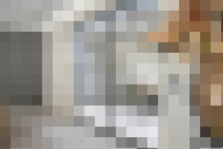 Gravenhof 9 Riel thumbnail 9